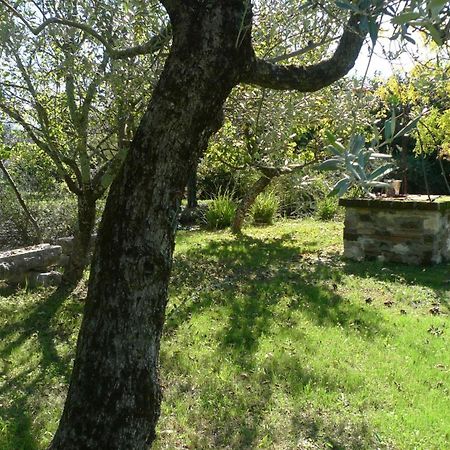 Bed and Breakfast Le Ninfee Cassino Exterior foto